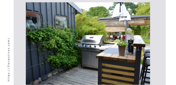 Outdoor Kitchen image