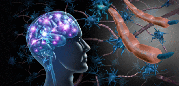 Vagus Nerve image